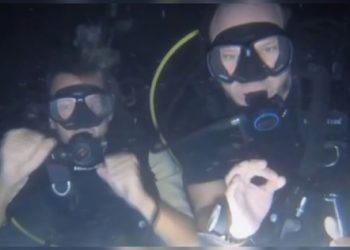 Diver deported from Thailand after poking and tickling sea creatures in protected area
